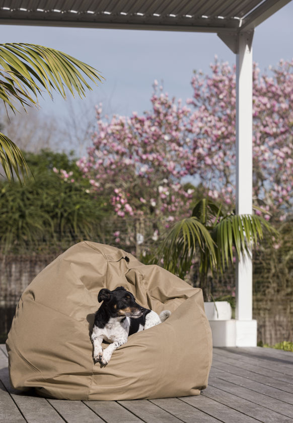 Bean Bag