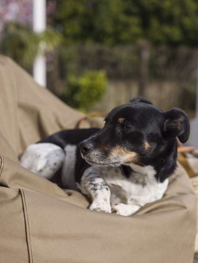 Bean Bag