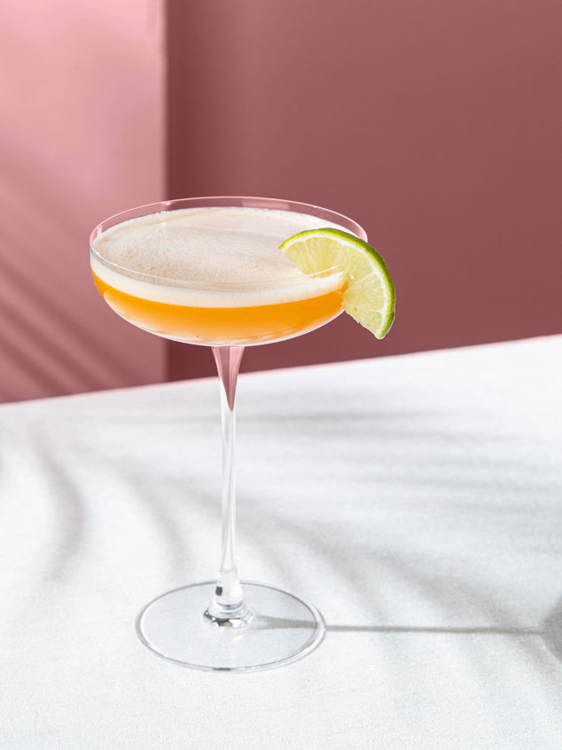 Savage Coupe Glass Set/6