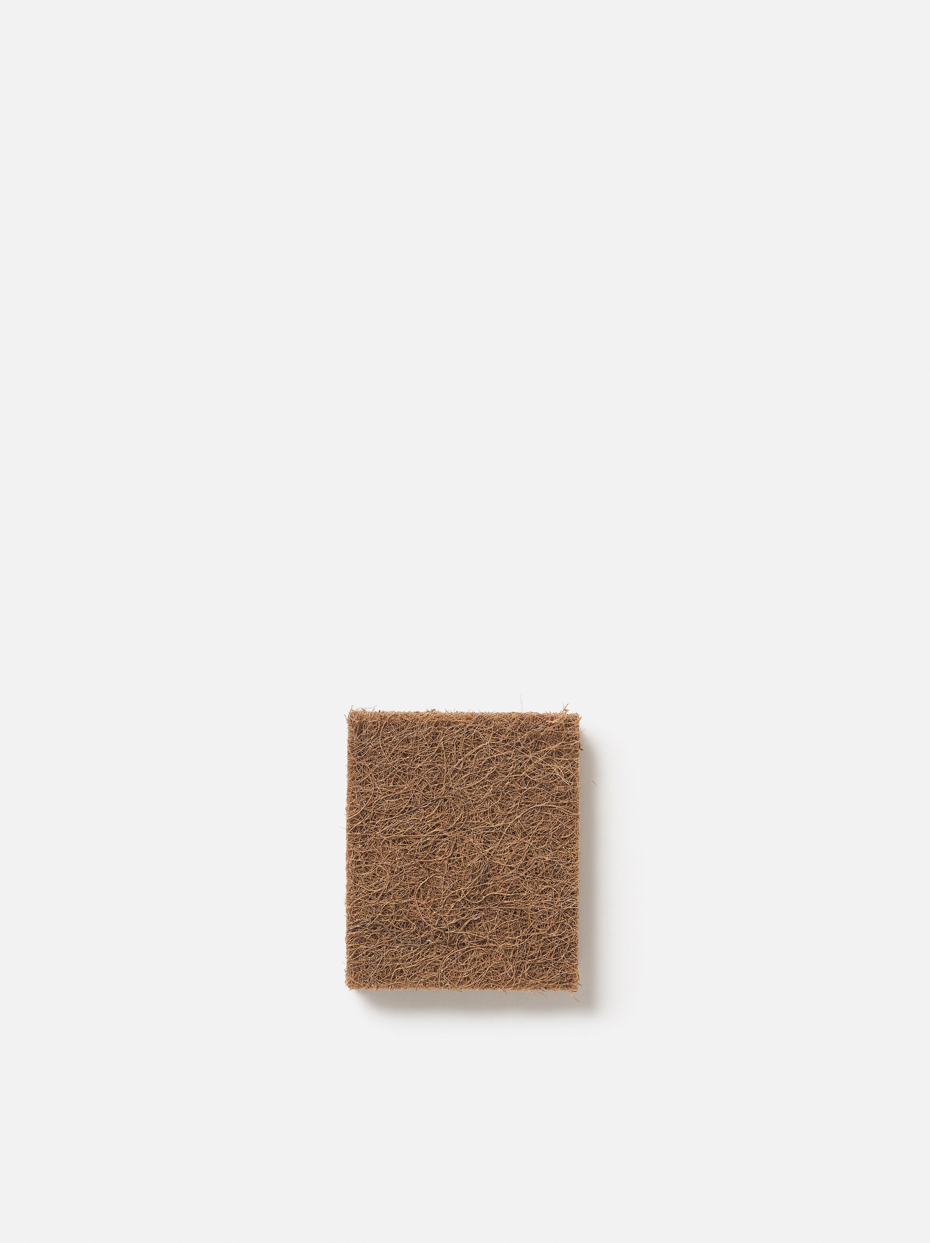 Coco Fibre Dish Cloth Set/3
