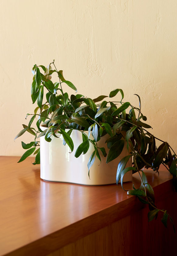 Artek Riihitie Plant Pot